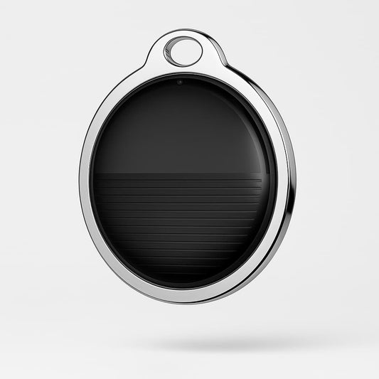 Médaille De Localisation Pour Chien Compatible Balise De Suivi