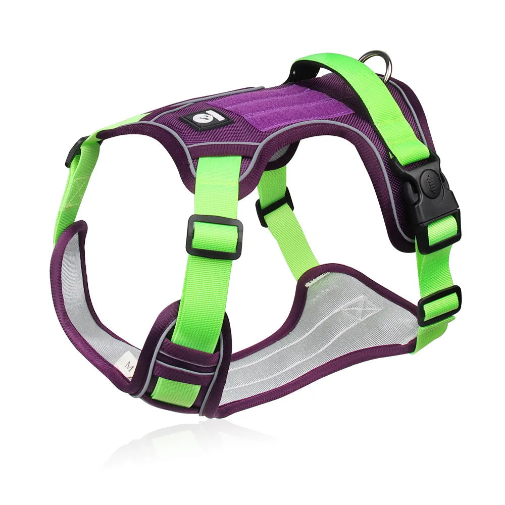 Harnais en Y coloré et confortable pour chien