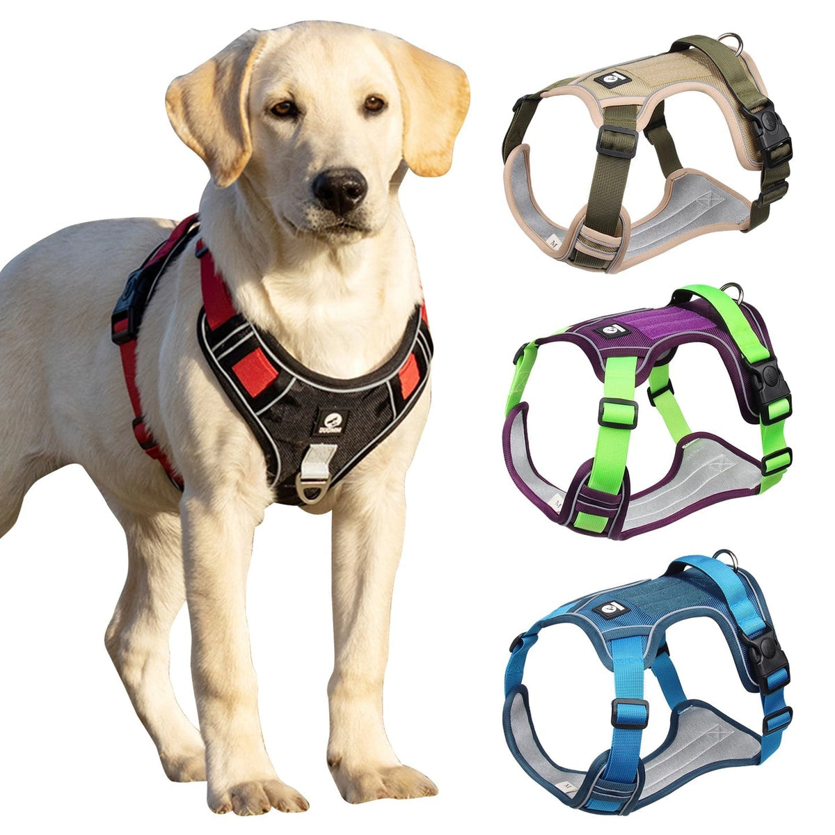 Harnais en Y coloré et confortable pour chien