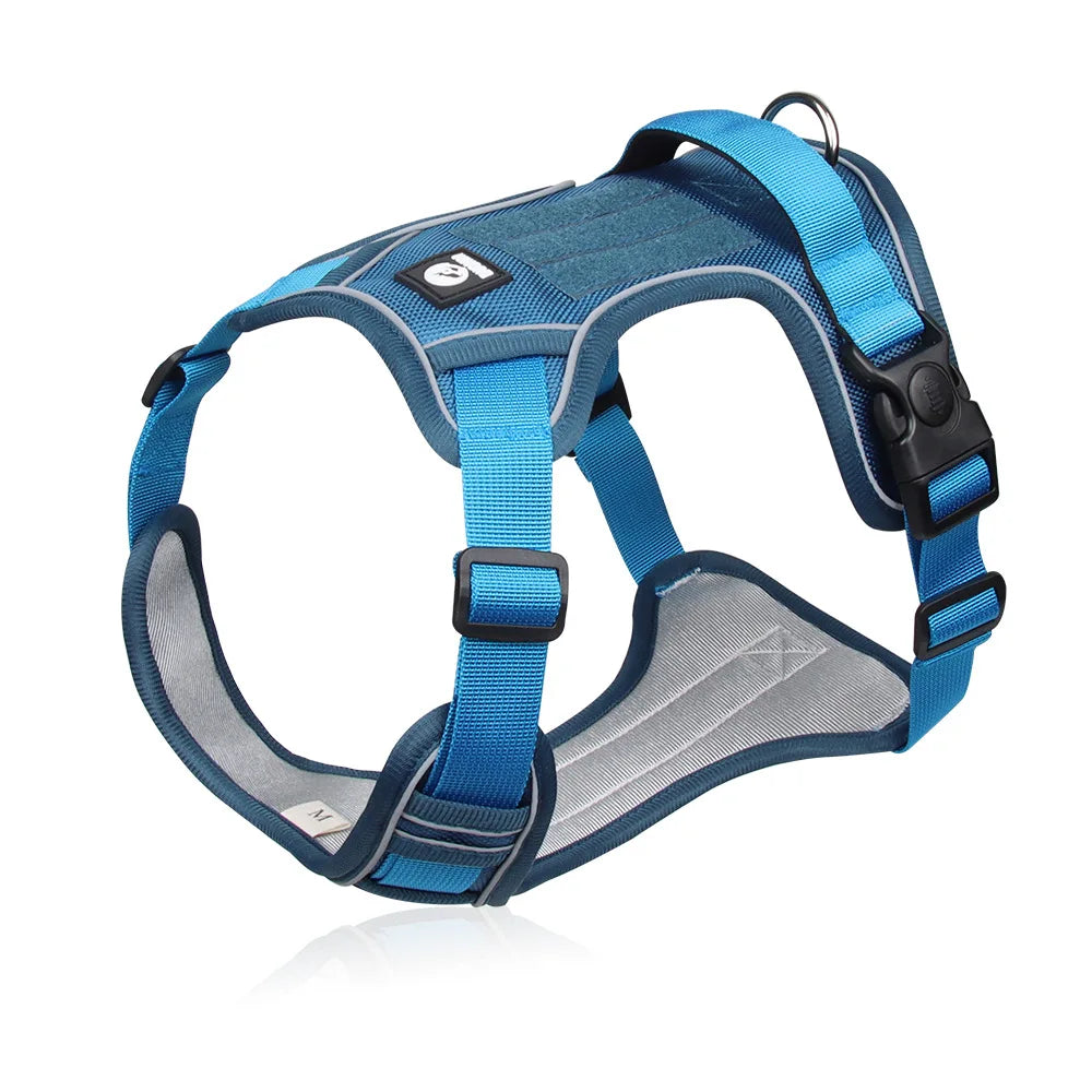 Harnais en Y coloré et confortable pour chien