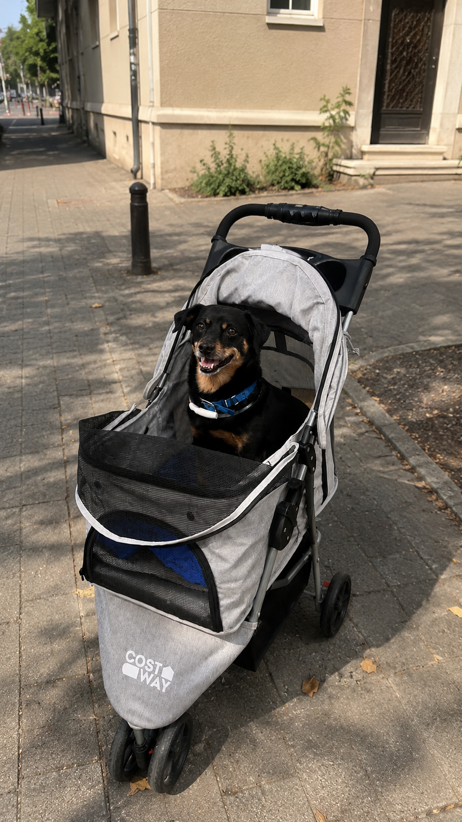 Poussette chien 3 roues | Légère 5 kg, chien jusqu'à 15 kg
