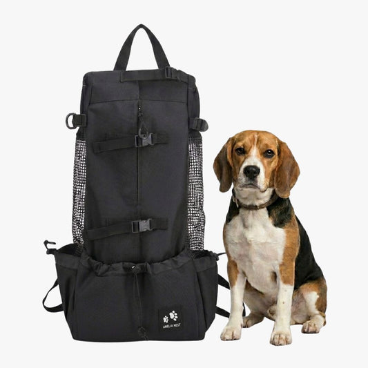 Sac à Dos de Transport pour Chien