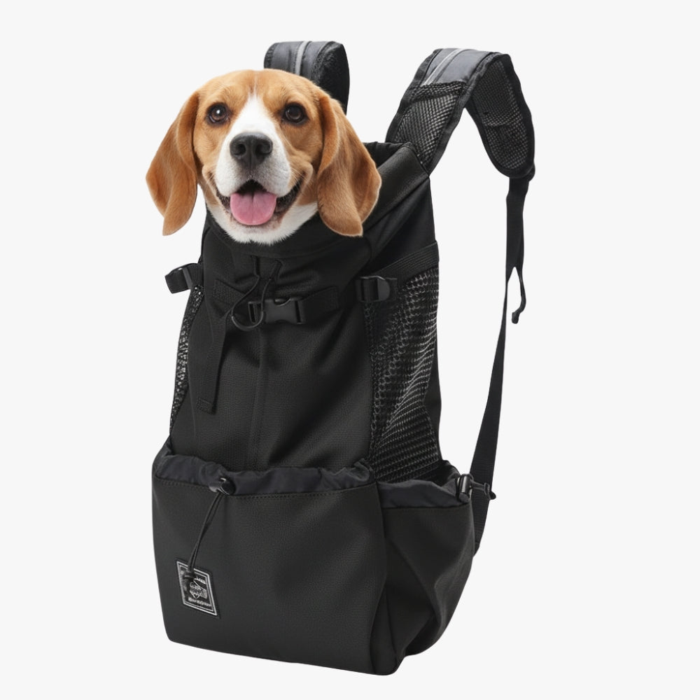 Sac à Dos de Transport pour Chien